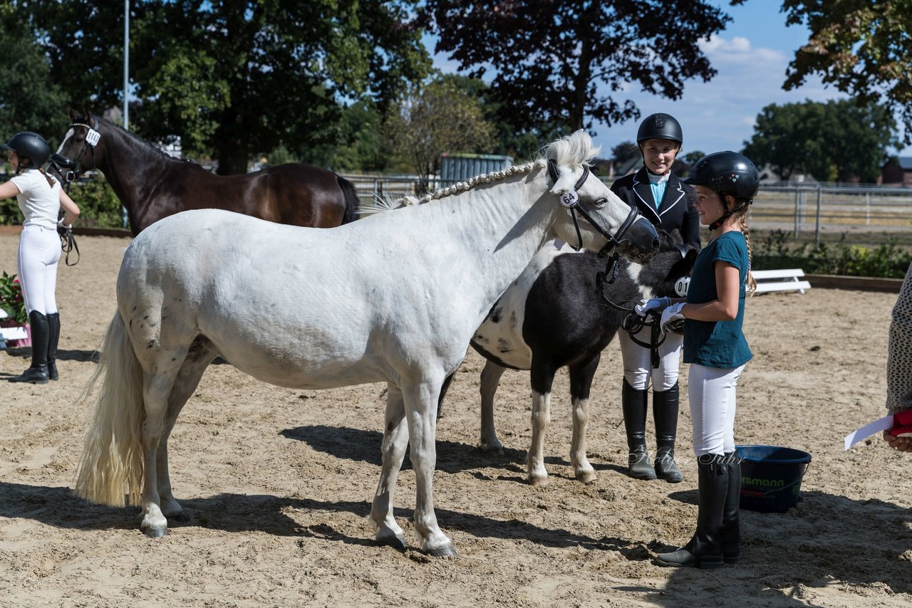 Bild 102 - Pony Akademie Turnier